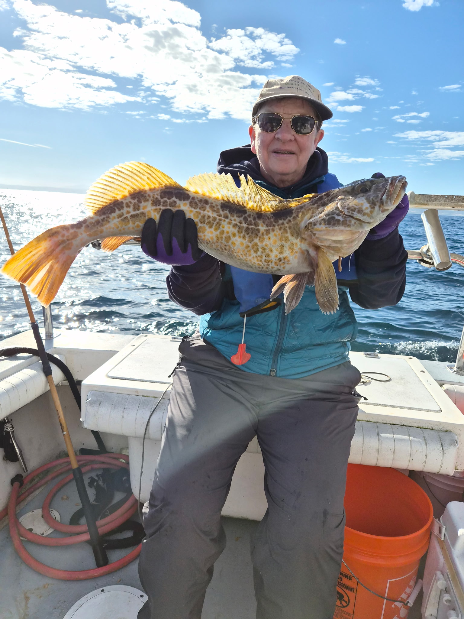 Lingcod